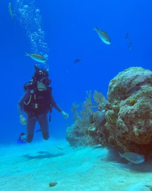 Rafaela Covas Instagram - “The cure for anything is salt water: sweat, tears or the sea.” - Isak Dinesen aka Karen Blixen 

🫧Take pictures, leave bubbles!🫧

•
•
•

#underwater #underwaterphoto #diving #divingphoto #xpuha #xpuhabeach #mexico #mexicotravel
