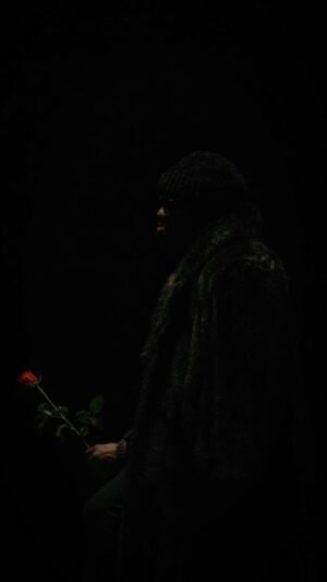 Raheem DeVaughn Instagram - Show me why you’re strong ignore everybody else were alone now 🥀 

 Song : RETROGRADE
Produced by : @drekingbeats

Content : @coolkidsforeverdmv 

link in my bio and experience my exclusive release Winter in Love 🎶 
Only on even.biz

#buytheartfromtheartist