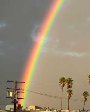 Raja Gemini Instagram - 🌈🌈🌈🌈