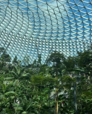 Rajo Laurel Instagram - HOLLLLAAAAAH…. SINGAPORE!!! So happy to be back… ❤️❤️❤️ first order of business…. Head back to the places I love!!!