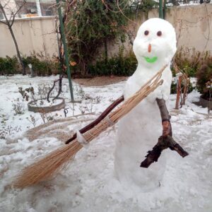 Ramin Nasernasir Instagram - روز برفی تون بخیر
اینم هنر دست بچه های همسایه