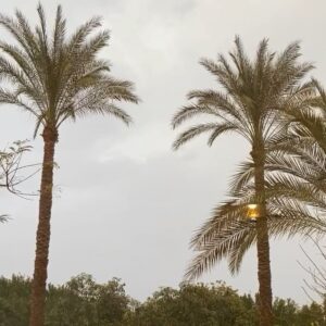 Ramy Imam Instagram - اهداء الي احلي فانز في الدنيا بمناسبة المطر 🌧🌧🙏🏻😃😃🌺😍 Rain video I made as a dedication to all the lovely fans 🙏🏻🌧😘😃😍 #rain #rainstorm #rainshowers #weather #rainyday #rainy #globalwarming #cloudy #storm #egyptweather #walkingintherain #goodmood #rains #rainstorm #weatherreport #rainclouds #enjoythemoment