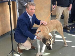 Rand Paul Instagram - It’s #NationalRescueDogDay! My FDA Modernization Act would end a mandate that experimental drugs be tested on animals.