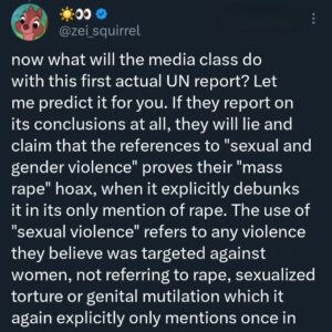 Randa Abdel-Fattah Instagram - #breaking: NYT, AP, Reuters, Guardian all lied.