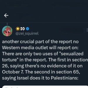 Randa Abdel-Fattah Instagram - #breaking: NYT, AP, Reuters, Guardian all lied.