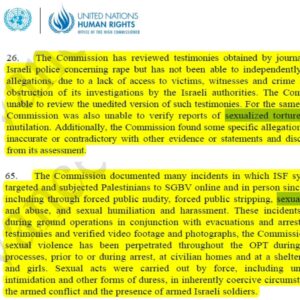 Randa Abdel-Fattah Instagram - #breaking: NYT, AP, Reuters, Guardian all lied.