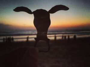 Ranjan Raj Instagram - Beer on the beach, until someone say ' aap drm11 pe team bna lo' 🍺😄