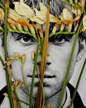 Rankin Instagram - Pressed Portraits. 🥀⁠
An #unseen project from a while ago, fusing portraits and flowers together.⁠
⁠
📸 @damonalbarn, @bjork and @mickjagger
