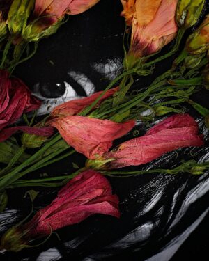 Rankin Instagram - Pressed Portraits. 🥀⁠
An #unseen project from a while ago, fusing portraits and flowers together.⁠
⁠
📸 @damonalbarn, @bjork and @mickjagger