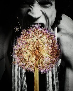 Rankin Instagram - Pressed Portraits. 🥀⁠
An #unseen project from a while ago, fusing portraits and flowers together.⁠
⁠
📸 @damonalbarn, @bjork and @mickjagger