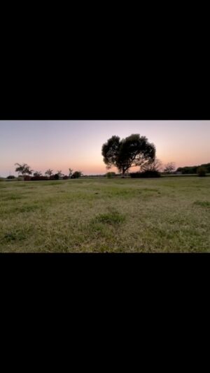 Ranvir Shorey Instagram - चित्रकार ही नहीं, ध्वनिकार भी।❤️ #nature