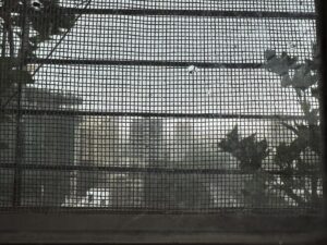 Ranvir Shorey Instagram - The magical melancholy of #Mumbai’s pre #monsoon #weather. ❤️