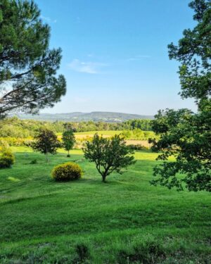 Raphaël de Casabianca Instagram - Quelques jours au vert...
#luberon
