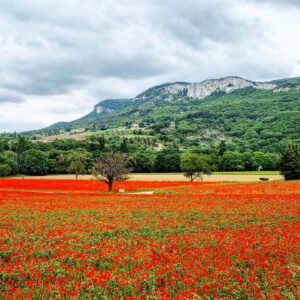 Raphaël de Casabianca Instagram - De passage en Drôme Provençale !