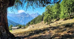 Raphaël de Casabianca Instagram - Randonnée dans le Val d'Aoste... ☀️