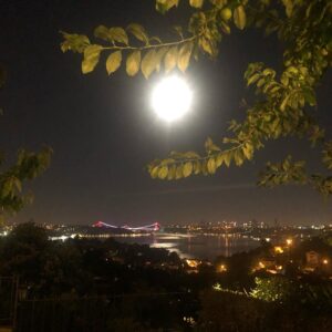 Rasim Öztekin Instagram - Dün gece 02.00 gibi...
