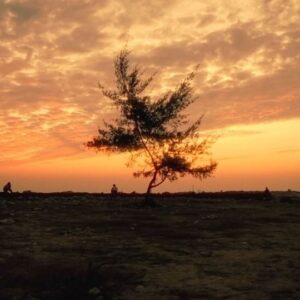 Ratanaumnuayshai Boonyakorn Instagram - magic of sunset

a short visual of thailand’s hidden gem, 
saeng chan beach located on the gulf of thailand.

#sunset #cinematography #rayong #thailand #travel
