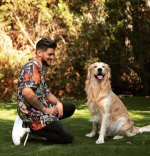 Rayane Bensetti Instagram - Voilà Mon Simba à moi 😁
.
1 Million d’entrée en seulement 2 JOURS !!! 🤪🤩
Je vois tous les commentaires et tous les avis sur le Roi Lion , et je voulais juste vous dire Merci... Merci du soutien, Merci d’aller voir le film en VF, et surtout merci de vos messages si touchant c’est juste dingue je suis le plus heureux ! Et Mambo aussi apparement... Je pense que ça se voit 😁😁
L’aventure ne fait que commencer !
Hakuna Matata !
#leroilion 
@disneyfr 
#simba 
#dogsmile