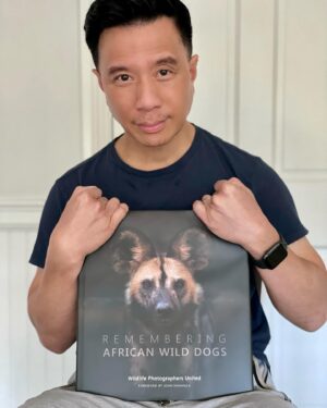 Reggie Lee Instagram - Same time of year. Same place in my kitchen. Same chair. Different beautiful creature to save from extinction. Love supporting this cause with all my heart. Please do what you can to help. African Wild Dogs are facing extinction. Habitat loss and misunderstanding of this little known but beautiful species has dropped their population from 500,000 to just 6,600 in the last fifty years. We are at risk of losing this uniquely ‘painted dog’ and its hauntingly beautiful HOO-calls forever. Help to save them by ordering your copy of Remembering African Wild Dogs today at www.buyrememberingwildlife.com 100% of all profits go directly to protecting African Wild Dogs #RememberingWildlifeDay #RememberingAfricanWildDogs