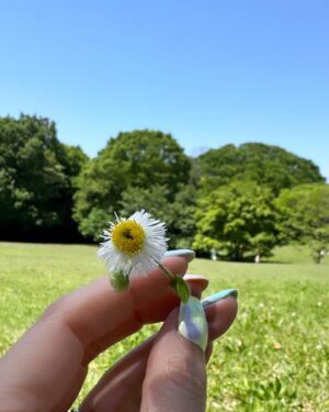 Reika Hashimoto Instagram - 🕊️🩵✨⛩️🙏🏼

家族で平和な時間を過ごして、心の充電max