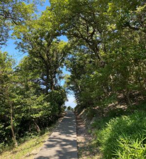 Reika Hashimoto Instagram - 人は悔しかったり、悲しかったり、色んな感情を体験するけれど、人それぞれ感性が違うからこそ、自分と同じ感情なんて実は一つも無いはず。
全く同じ感性があったとしたら#ツインフレーム　とか#ツインソール　の世界。💞
自身の学びがあるからこそ、人生の各所でそれぞれの学びが用意されているのだと私は思います。
しかし、頭では理解してても、心が求める物はそれとは違くて、自分を深く理解されたい“同じであって欲しい“という単なるエゴの願望に勝手に傷ついたりもします。

だからこそ、そこから学ばなければ
“手放す事”を。
それは自分を押し付けない事とも似ていて、他を“尊重する事”。
例えどんな事でも受け入れる事。
それによって、なによりも得られる事は“自分を大切に出来ること”
この学びこそ自分の成長の為に必要な事。

幾つになっても同じ様な感情、学びが来るのは、未だにそれをクリア出来ていないから。
いつものパターンを変えるには勇気を持って自分が変わるしか無い。

それはジャッジせず
愛を持って他を尊重する事。
そして一番に自分を思ってあげる事。

自分の中に深く入っていく
ただそれだけで、たくさんの事が手放せます。
その軽くなった自分のスペースには心地良く新しいエネルギーが入って来るのを感じられる筈✨🌿

そのシンプルな事だけ。

#❤️

#トトロ
#free