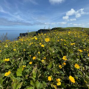 Reina Hidalgo Instagram - 🅓🅤🅑🅛🅘🅝 🍀🇮🇪 ✌🏾
#barackobamaplaza #nature #cliffofmoher #galwayireland #beautyofburrenwalks