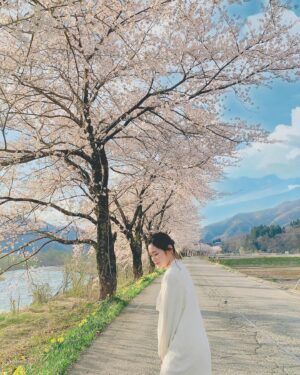 Rena Hasegawa Instagram - 🌸

#たいない桜まつり
#新潟
#胎内市
#桜
#さくら
#🌸