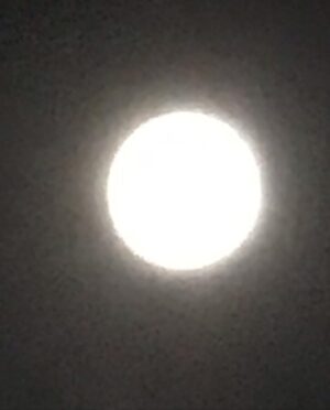 Rena Riffel Instagram - Celebrating Independence Day 🌖 A view from the balcony ✨the moon is lighting up the sky. No fireworks needed 🎉 Happy 4th of July #4thofjuly #sky #moon #fireworks ❤️🤍💙🇺🇸