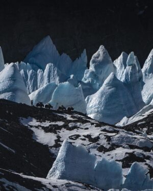 Renan Öztürk Instagram - North side Yak archives. 

@expedition.studios @sonyalpha @natgeo #LostOnEverest #TheGhostsAbove collection