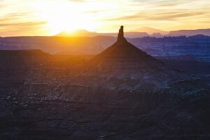 Renan Öztürk Instagram - A collection for Earth day 2024 🌏 

Closest to home follow and donate @protectbearsears on this day if you have the time and resources. 

#earthday