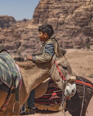 Renan Öztürk Instagram - Pure wonder seeing Petra for the first time.  Lucky to have @filmmingo_productions crew supporting yesterday on a whirlwind one day shoot.

@expedition.studios @refikanadol @simon_njoo_one_egg  @welcome_to_jordan_ @orisono_film @rudy.le @senankh @mdsrour @linaaburezeq @jenpeedom @sonyalpha @thenorthface @vollebak