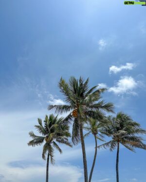 Renaud Blanchet Instagram - Sunshine State🇺🇸🏝️☀️🦞