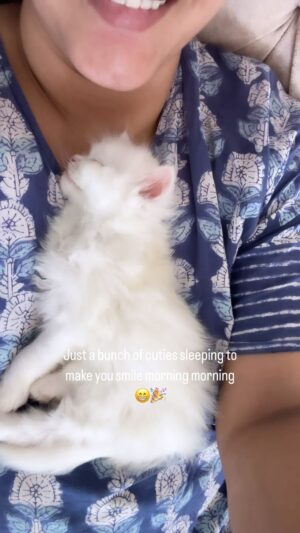 Renu Desai Instagram - I was so sad when Feebo died and I missed him so much sitting in my lap and I posted about it too few weeks ago. And suddenly I got so many kittens and cats to rescue and foster and all of them love to nap in my lap😻
Thank you Universe for listening to me and blessing my empty lap again😊🙏🏼