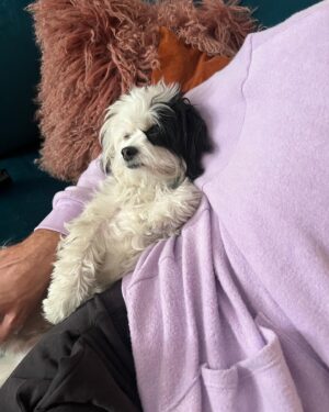 Rhett McLaughlin Instagram - Snuggle buddy photoshoot