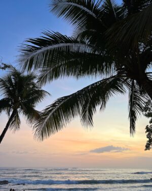 Rhianna Jagpal Instagram - ✨🌅🧡 pura vida 💛🍹✨