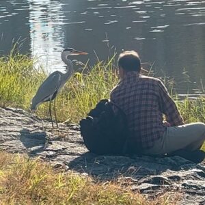 Rhianne Barreto Instagram - boy and the heron meets high school musical