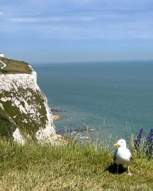 Rhys Olivia Cote Instagram - Dover- Dover Castle- Dover Cliffs!! #dover #dovercliffs #dovercastle #uk #england #holiday #familyholiday #coastal #rhysolivia #rhyscote