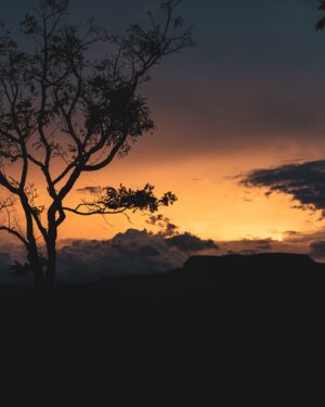 Ricardo Barbato Instagram - reConheSER Ilhabela 📍✨

As inscrições do próximo retiro que vai acontecer entre os dias 04 a 07 de Julho terminam amanhã.

Serão 4 dias em meio a natureza para você se reconectar por meio de práticas e vivências que irão te ajudar com pequenos ajustes no processo de detox, movimento, descanso e apreciação.

Independente da sua familiaridade com a prática física do yoga, essa é uma oportunidade pra todos que sentem a necessidade de passar uns dias observando com mais atenção pontos importantes da caminhada.

Em meio as atividades teremos tempo livre para que possamos desfrutar do local e integrar os processos.

Caso faça sentido pra você e o seu momento, me envia uma mensagem pra receber a apresentação com os detalhes da programação completa.

Onde: Ilhabela - @templodoser.ilhabela 📍 
Quando: 04 a 07 de Julho 🗓️ 

rB ⚡️

#yoga #retreat #movement #lifestyle #healthy #wellness #paradise #fitness #saude #bemestar #reConheSER #muvyoga

ॐ नमः शिवाय
