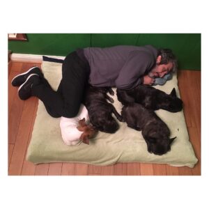 Ricardo Darín Instagram - Sale siesta