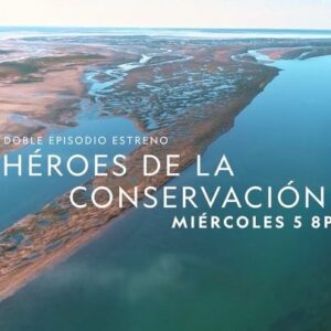 Ricardo Darín Instagram - Estoy feliz de compartir con ustedes HÉROES DE LA CONSERVACIÓN.
Historias para inspirar, crear conciencia y alcanzar un mundo mejor. 
Se estrena en @natgeo.la el miércoles 5 de Junio a las 20:00hs (Arg.).
Seis proyectos enfocados en la protección de especies autóctonas de la Argentina (Águila Coronada, Caballito de Mar Patagónico, Gato Andino, Tordo Amarillo, Puma y el Centro de Rescate de Fauna). Cada uno con paisajes tan distintos como fascinantes, pero con un mismo hilo conductor: La esperanza de cambiar la realidad de muchas especies que se encuentran en situación crítica. 
Filmada en 9 Provincias de la Argentina, la serie documental fue realizada por @jumarafilms y co-producida por @kenyafilms , con el apoyo de @grupoinsud y @toyotaargentina 
Producido por Juan María Raggio.
Dirigido por Marcelo Viñas y Juan María Raggio.
Más info en: www.heroesdelaconservacion.com