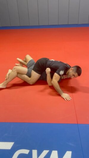 Ricardo Lamas Instagram - Technique of the week!  Need a fast sub?  Try this sneaky set up from mount!

#mount #bjj #lamaswrestlejitsu #ufc #mma #ufcgym #ufcgymnaperville