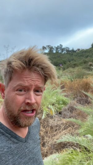 Richard Blais Instagram - Have you ever had a cardoon?  If you see this you MUST ANSWER 😂🤓