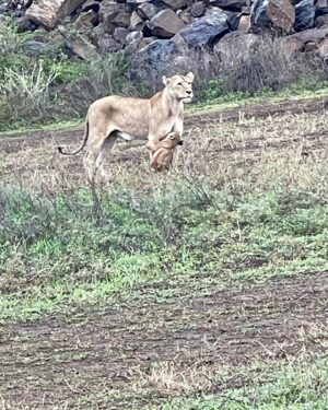 Richard Schiff Instagram - Tanzania just like I pictured.