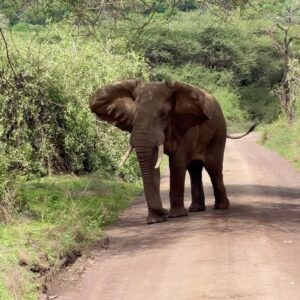 Richard Schiff Instagram - Tanzania just like I pictured.
