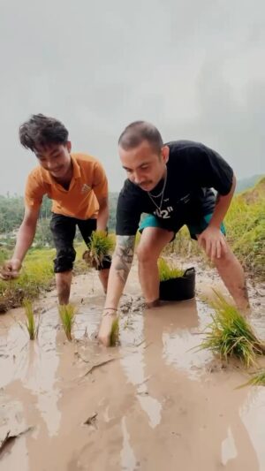 Ricky Komo Instagram - Alhamdulillah mudik dan bisa menikmati indah nya alam ranah minang di @sikabu_glamping 👌