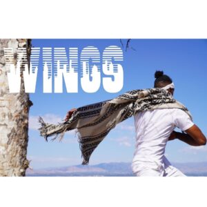 Rie Rasmussen Instagram - Wings by @iamcalebjermaine • out now • 🖤🤍🖤

.
.
.
.
.
.
.
.
.
#artistsoninstagram #artist #artistsofinstagram #singer #song #songwriter #producer #musicproducer #musica #synclicensing #nosamples #selfcare #indie #indiemusic #calebjermainemusic #malemodel #cesd #cesdtalent #love #wings #world #photography #photooftheday #angel #angelwings #lovinglife
