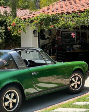 Riley Harper Instagram - A thing for green