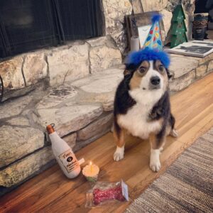 Riley Smith Instagram - Finn turned 4 and I spent $7 on that party hat just for this picture.
#stagedad