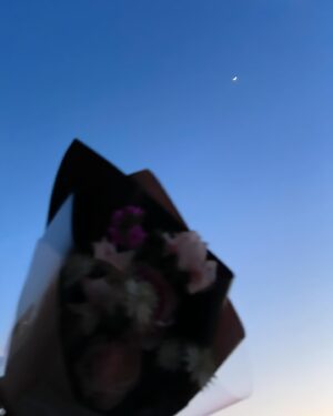 Rinka Otani Instagram - 急な雨や強風で天気が忙しないねえ
体調にお気をつけて💐