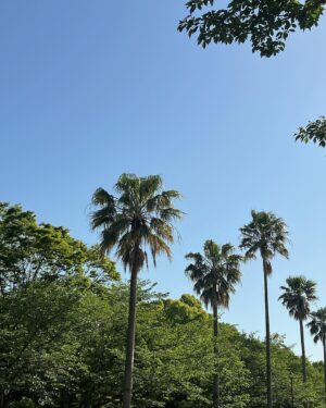 Rinka Otani Instagram - 髪のツヤばっちりだな◎

そして、
事務所の住所変わりましたが届いたお手紙はいただいてます！
(お引越ししたので住所変わっております。)
新オフィスは韓国ドラマみたいなおしゃ空間🏢
コメントやメンションもいつもありがとです🙂‍↕️

今週もお疲れさまでした🤍